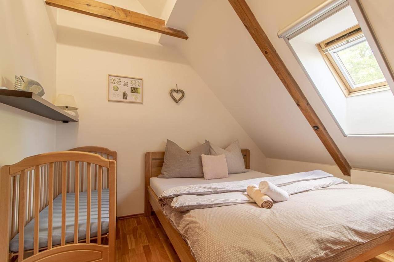 Historicky Dum U Lazni Apartment Trebon Bagian luar foto